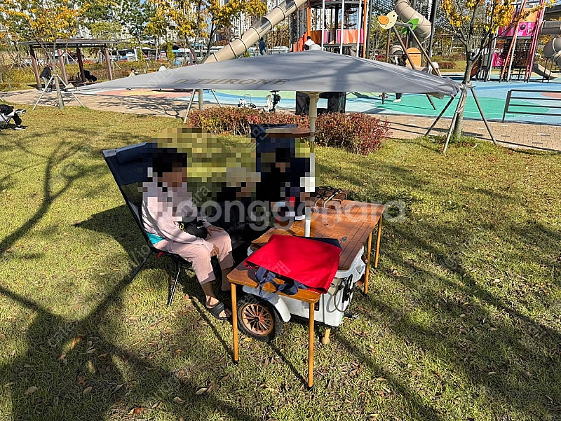 디트로네 디크닉 캠핑 카고 트레일러--1