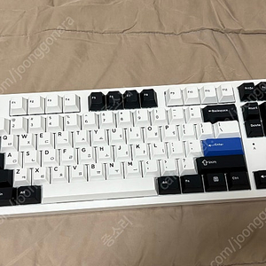 다얼유 EK87 PRO 무선 키보드 판매