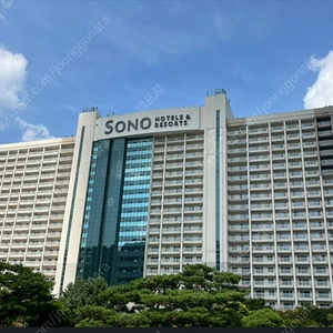 비발디파크 소노벨 B동 패밀리 6월 6일~8일 스탠다드