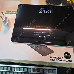 아이패드 프로13 M4 256 셀룰러 미국산