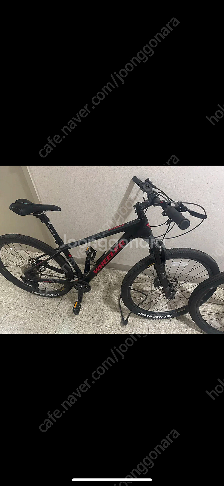 휠러 이글 1.0 MTB 자전거--0