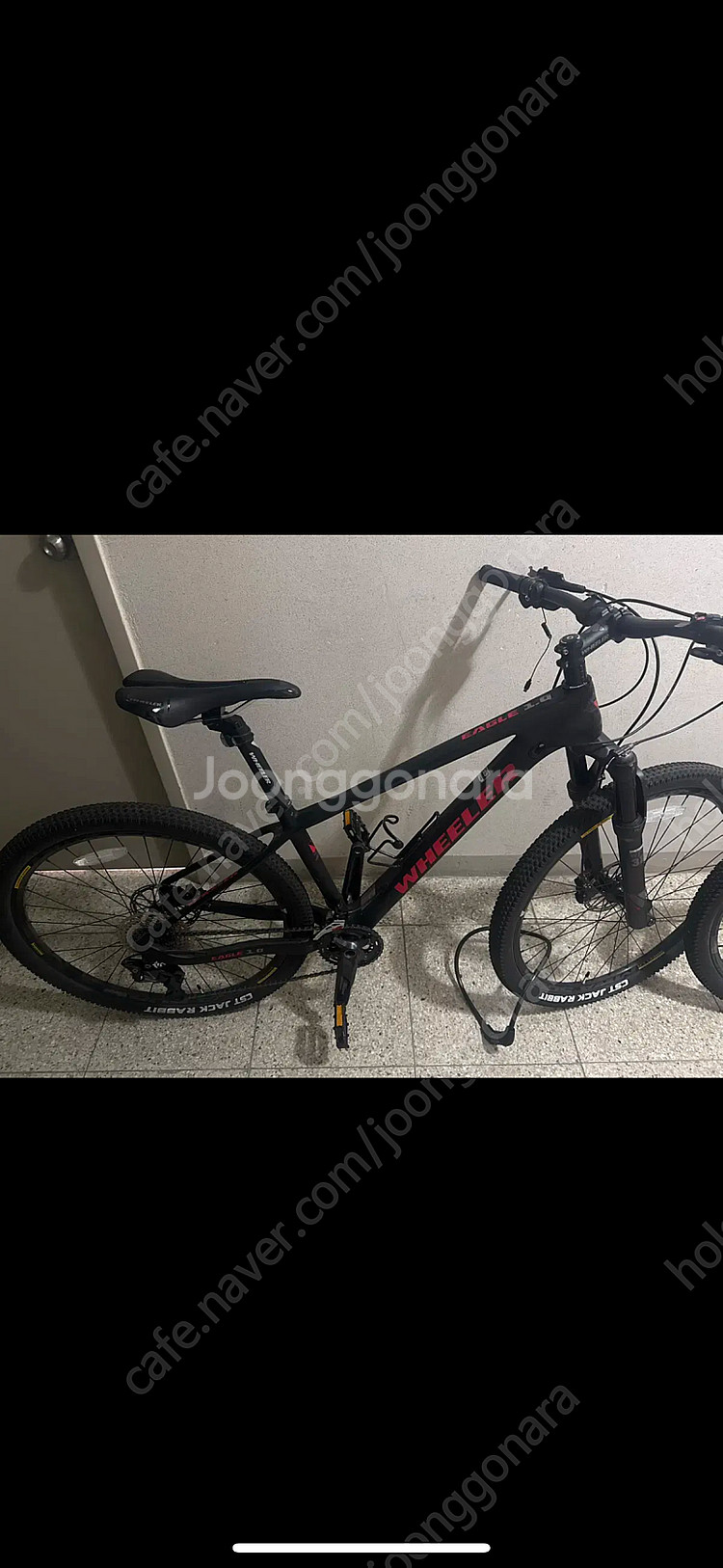 휠러 이글 1.0 MTB 자전거--1