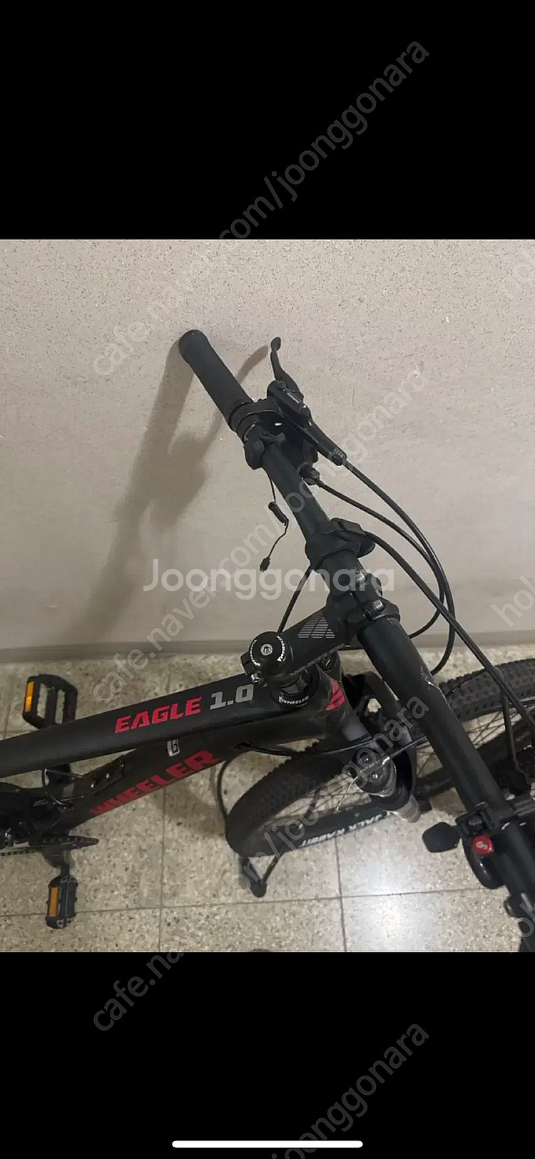 휠러 이글 1.0 MTB 자전거--3