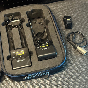 Sony uwp- d21 팝니다