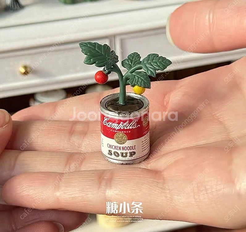 리멘트 식완 미니어처 토마토화분--0