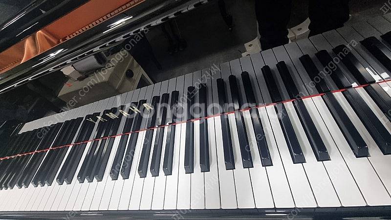 2022년제품야마하베이비그랜드피아노 GC-1--5