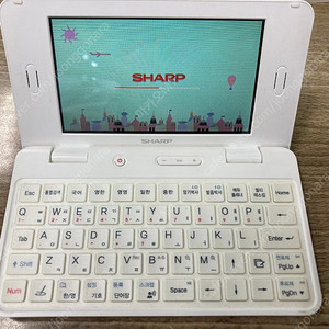 샤프 리얼딕 전자사전 SHARP RD-EM400 (8G)
