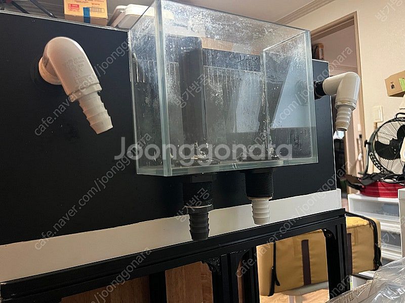 다이맥스 iq5수조세트,공유항 프랙항600수조 정리--5