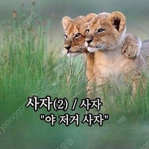 ps4/ps5 플스4/플스5 중고타이틀 팝니다