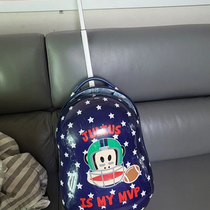 폴프랭크아동캐리어