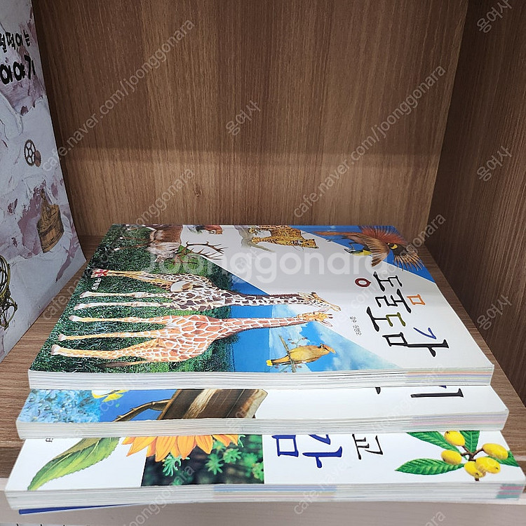 과학자들이 들려주는 과학이야기+교과서에 따른초등학교 식물도감+동물도감+곤충/물고기도감 ( 일괄)--4