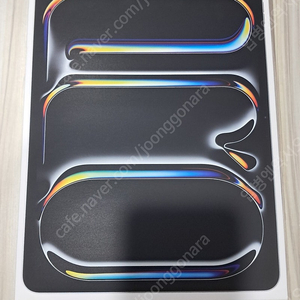 아이패드 프로 M4 13 셀룰러 1TB 실버 애케플