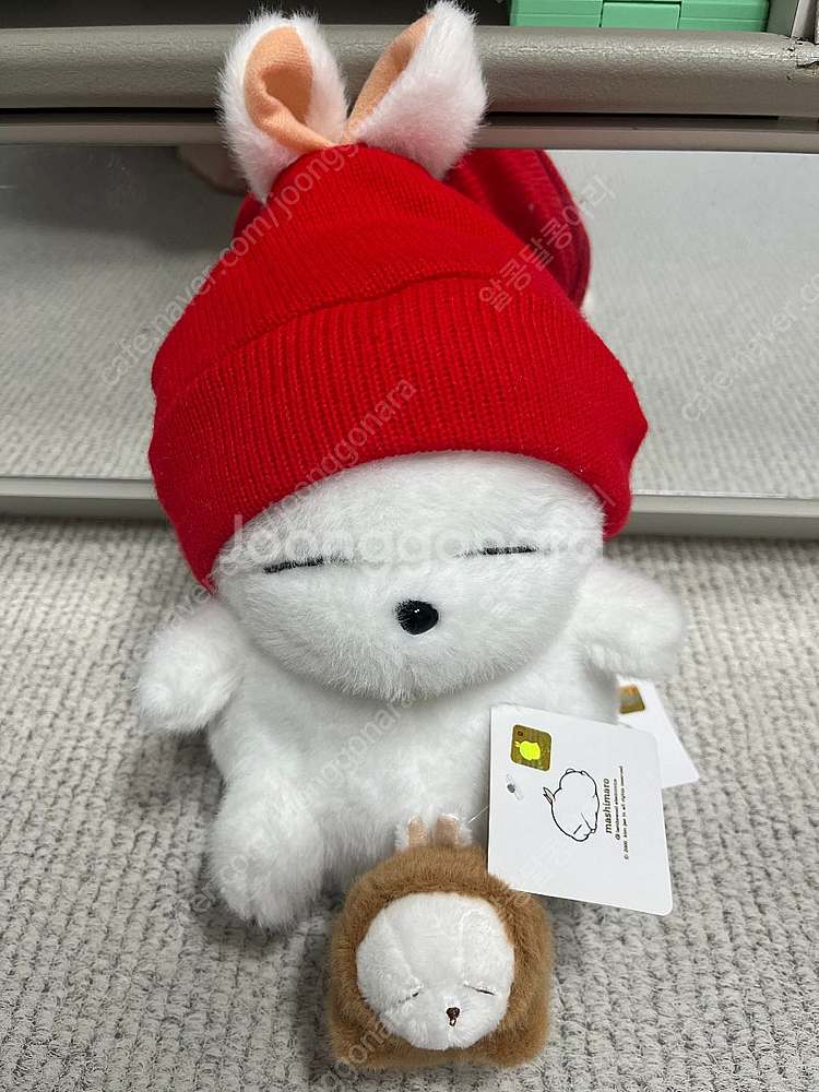 마시마로 인형+곰돌이키링--0