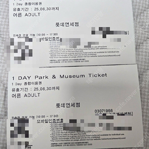 서울 롯데월드 1Day 종합이용권 자유이용권(민속박물관포함 -2장