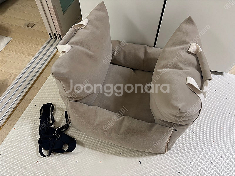 펫토 강아지 카시트--2