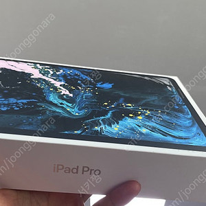 아이패드 프로 11인치 1테라