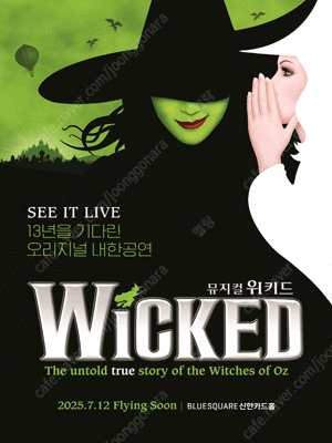 뮤지컬 위키드 내한공연 7/23(수) 19:30 3연석 양도합니다!