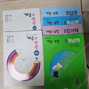 비상 개념+유형(라이트) 6-1