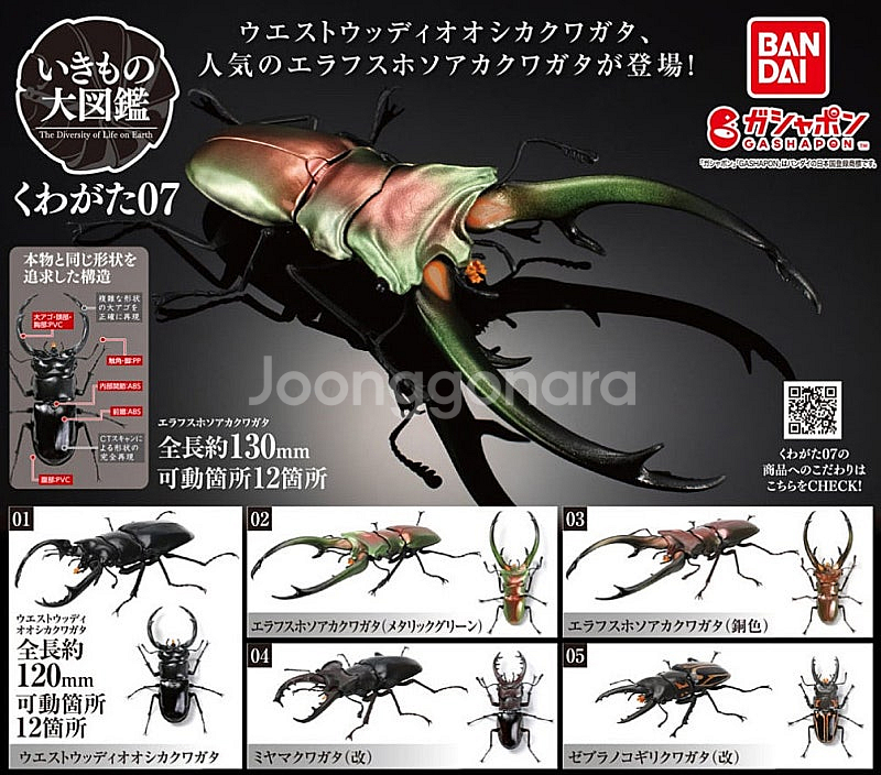 BANDAI(반다이), 생물대도감(사슴벌레), 급처합니...--2