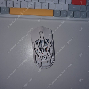 국내정발 비타공 wlmouse beast x mini pro 화이트