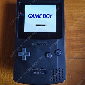 게임보이 컬러 oled 액정