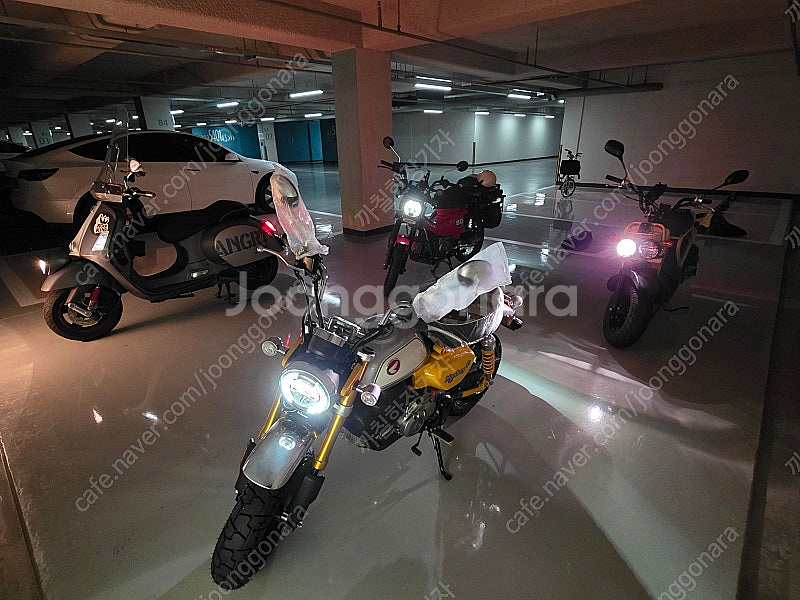 베스파 GTV300 세이조르니 2023년식 짧은 주행거...--8