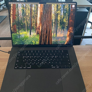 맥북프로 m4 16인치 기본형 (ssd512. ram24g) 5월구매품