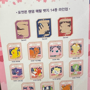 포켓몬 뱃지 미개봉