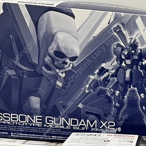 Rg 크로스본 X2