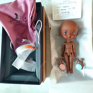 다락아이 구체관절인형 포켓사이즈 남순이 찐텐 (완텐) 보냅니다