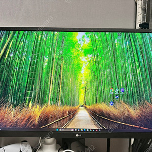 LG 27UL550 4K 모니터 + 카멜 PMA2X 모니터암