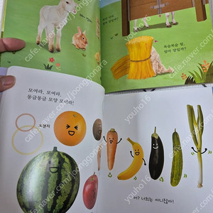 (가격내림)호비 스탭 3~4 호비랑나랑 교재 그림책 dvd 1년치 판매