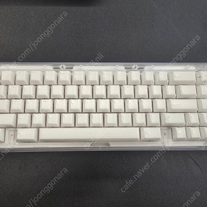 Bauer lite x-ray edition 베어본
