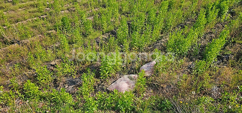 3 9 컨테이너 구합니다--0