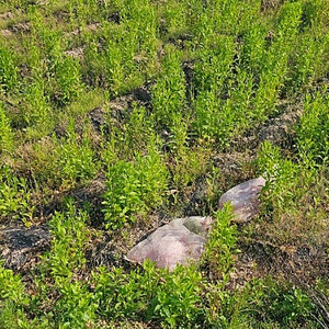 3 9 컨테이너 구합니다