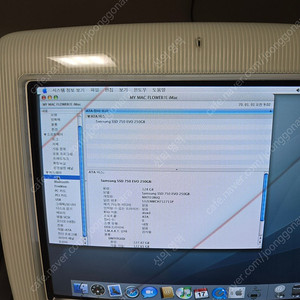 애플 올드맥 Imac g3 플라워맥 팝니다.
