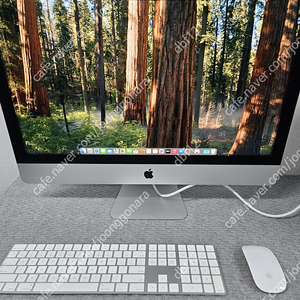2020 아이맥 i7- 27인치 5K RAM64GB CTO급 일체형PC
