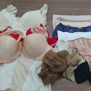 속옷 브라 팬티 스타킹 일괄 팜