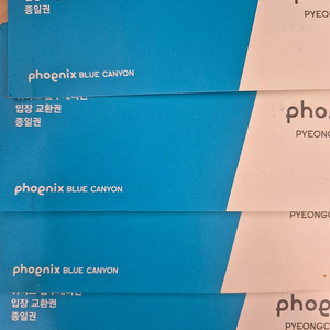 휘닉스 블루캐니언 워터파크 종일권 4장 (~2025년 5월31일까지)