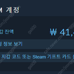스팀월렛 선물식 80% 판매