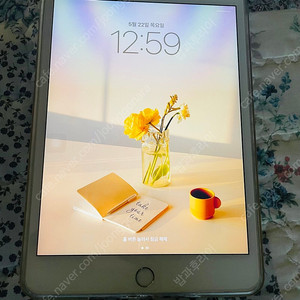 아이패드 미니5 셀룰러 64G