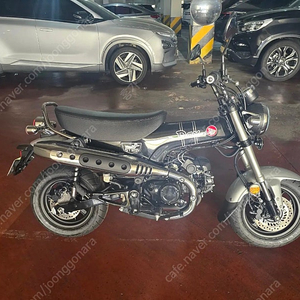 닥스 125
