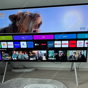 엘지 올레드 97인치 OLED97G4KW