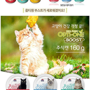 사조옵티원 고양이캔 행사 진행 합니다.