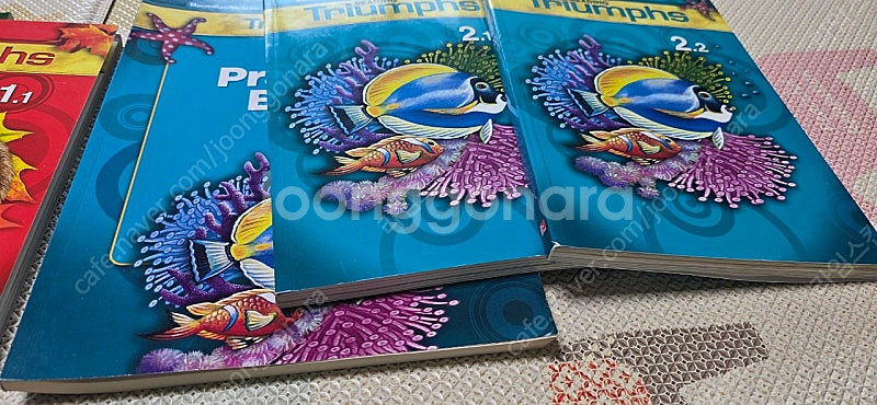 리딩 트라이엄프 READING Triumphs--4