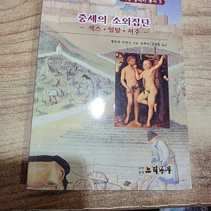 중세의 소외집단 (서양중세사 총서.3 )