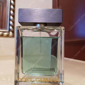 돌체앤가바나 더원 젠틀맨 100ml