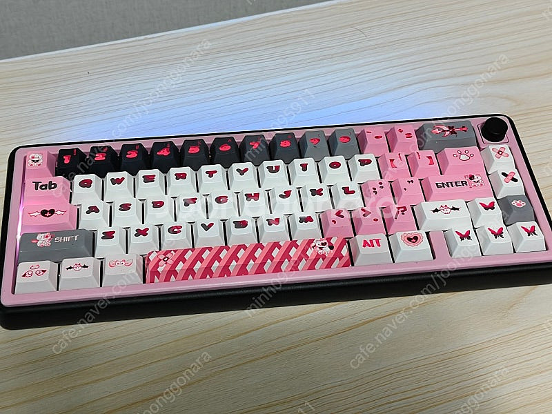 paw65 로터스 핑크축--0