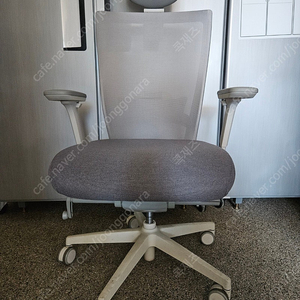 시디즈 T50 메쉬의자 화이트쉘 TNB500HLDA