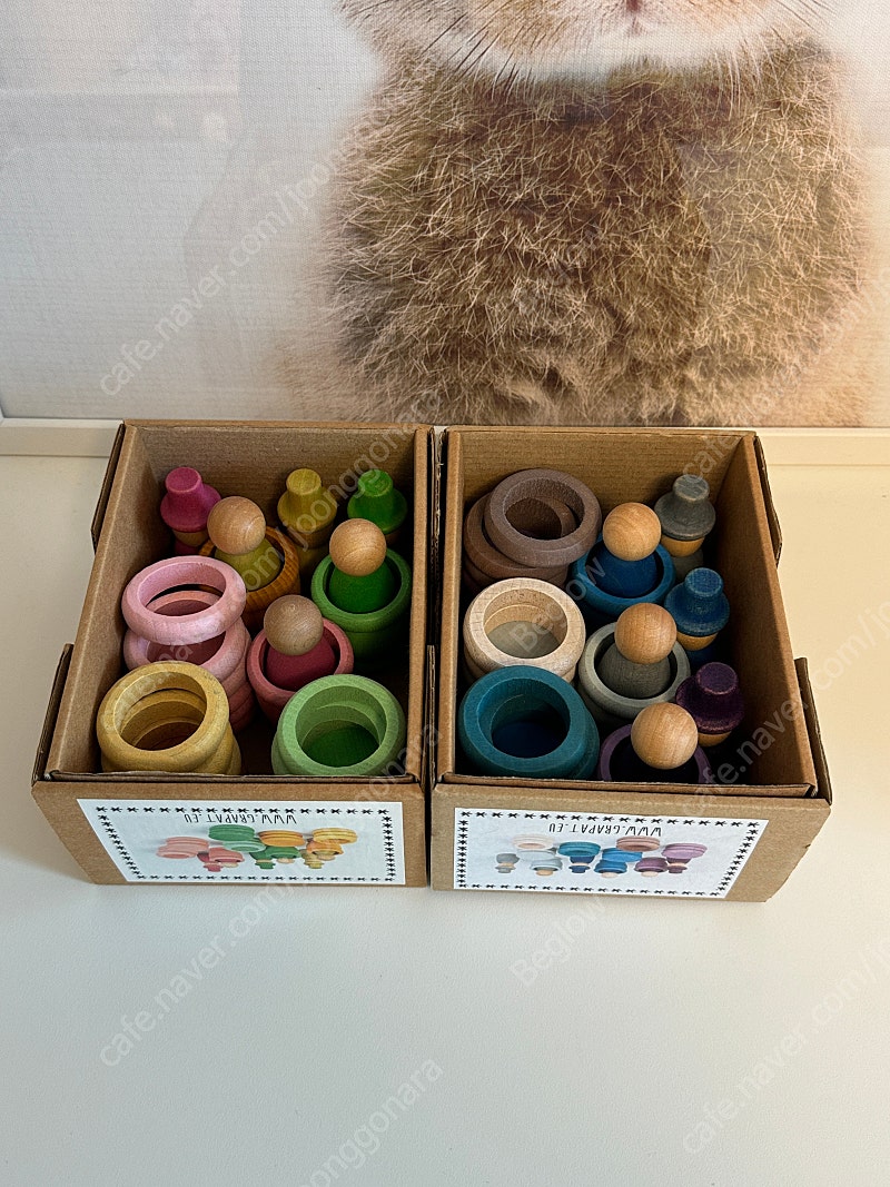 그라팟 닌즈 코인 보울 - 봄 겨울 일괄 | 중고나라 - 안심되는 중고거래